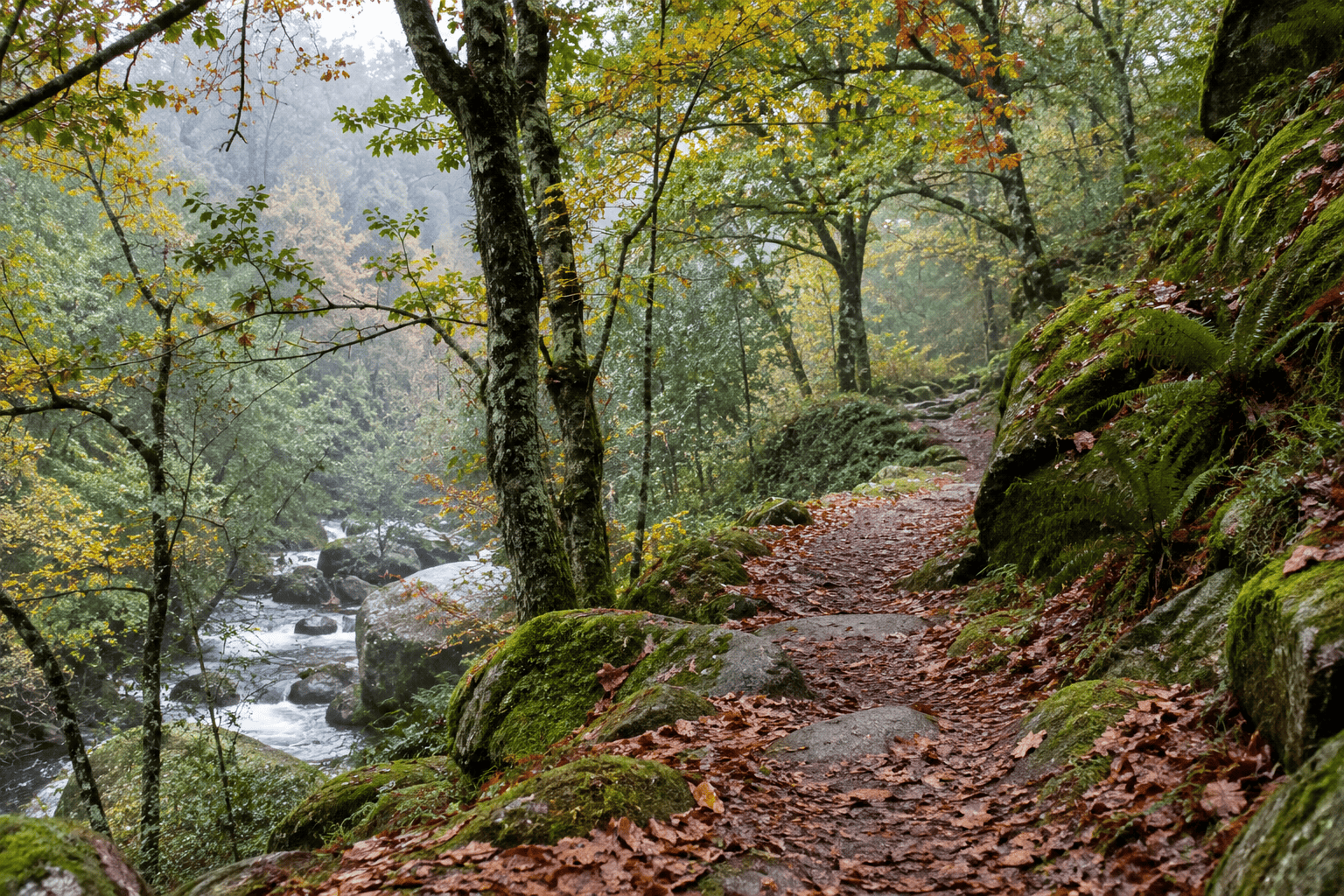 Outono no norte de Portugal: natureza, trilhos e tranquilidade